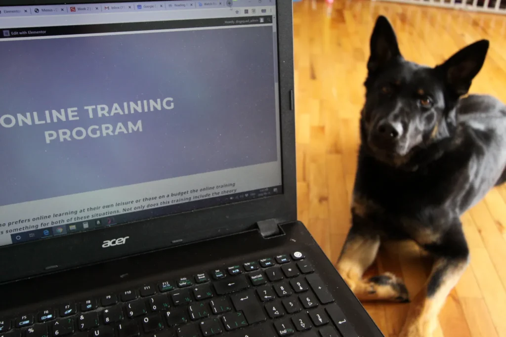 Dog Squad online dog training program.