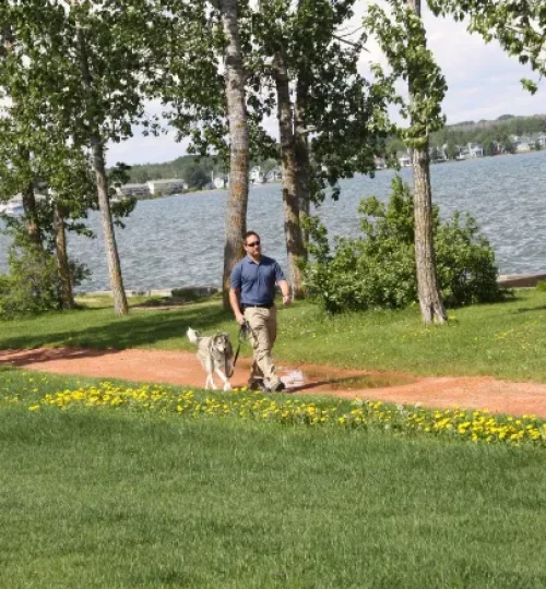 Dog Squad trainer Tyson Hainsworth teaching his dog to heel in Sylvan Lake.